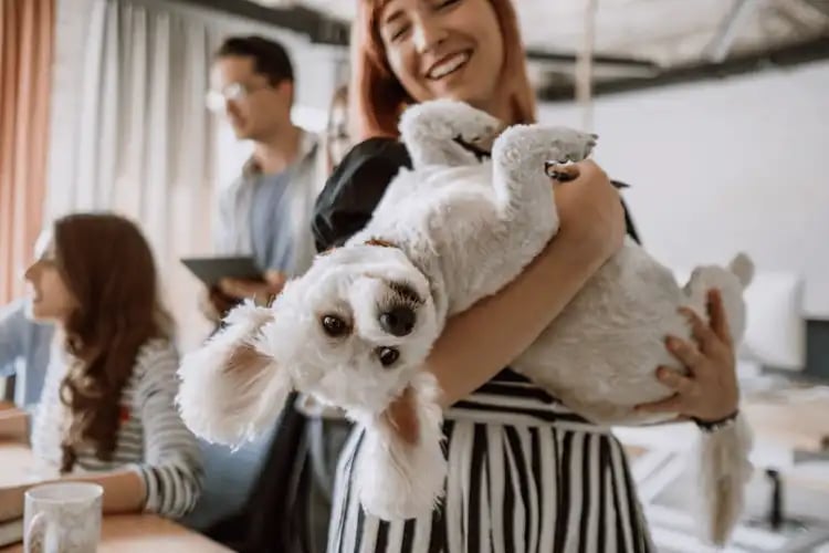 Smiling woman holding a white dog upside-down