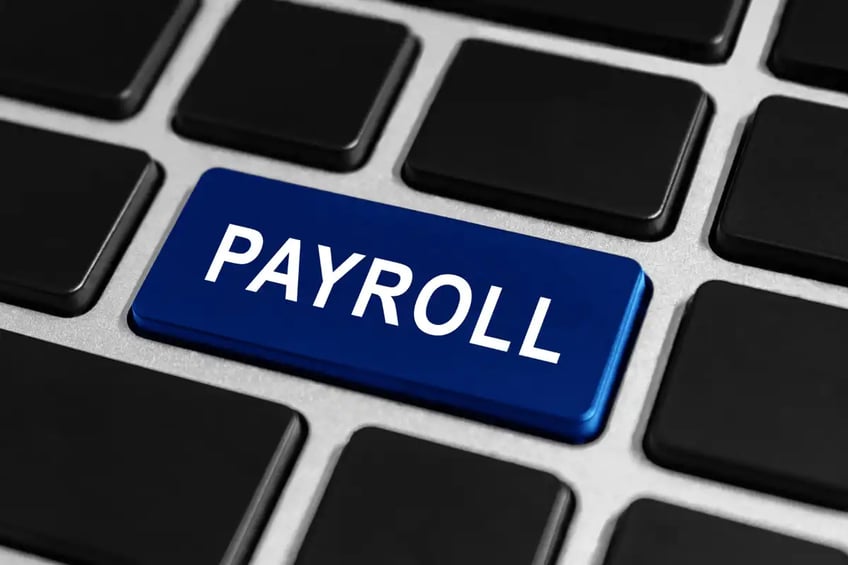 Blue "payroll" button