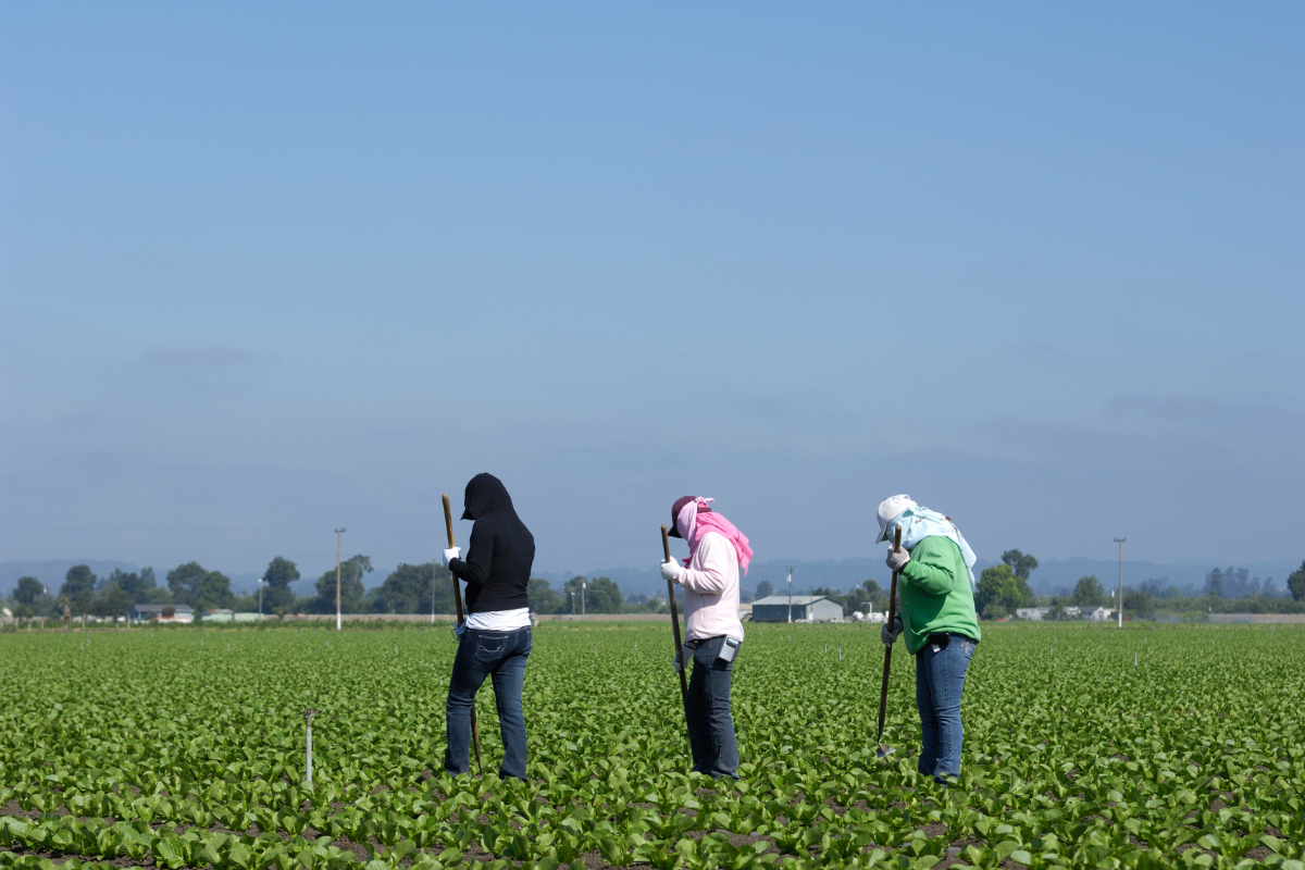 Everything to Know About Employing Seasonal Migrant Workers
