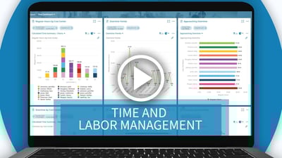 Michigan Time and Labor Software Demo Video